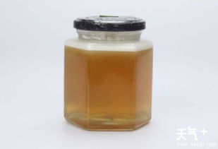 厦门海沧特产有哪些